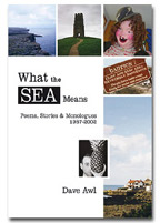 What the Sea Means book cover