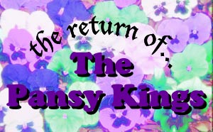 Return of The Pansy Kings